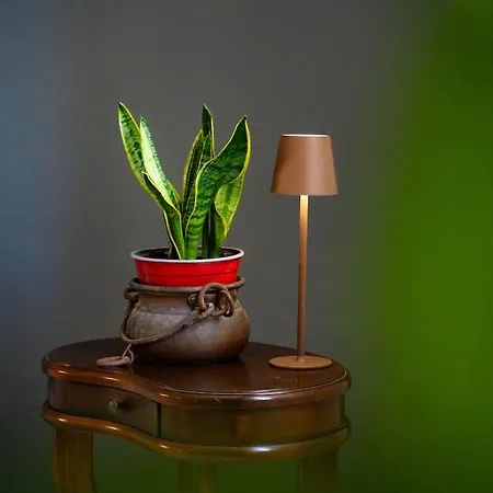 公寓 La Casa Di Dado 佩萨罗