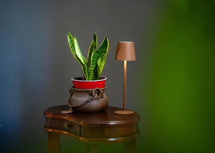 公寓 La Casa Di Dado 佩萨罗